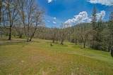 34780 Highway 3 Highway - Photo 69