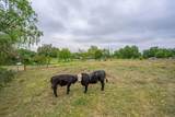 5210 Balls Ferry Road - Photo 47