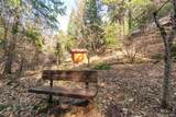 491 Branch Road - Photo 29