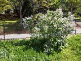 880 Union Hill Road - Photo 38