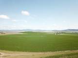 2935 Sheep Mountain Road - Photo 64