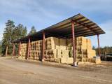 1827 Ball Mountain Little Shasta Road - Photo 126