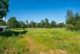 16868 Bunny Lane - Photo 38