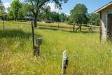 16868 Bunny Lane - Photo 58