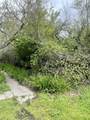 000 Olema Road - Photo 7