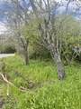 000 Olema Road - Photo 8