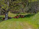 6790 Rush Creek Road - Photo 64