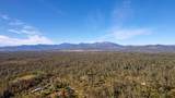 40 Acres Heavenly Valley Lane - Photo 7