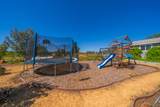 25130 Aoudad Drive - Photo 41