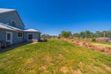 25130 Aoudad Drive - Photo 46