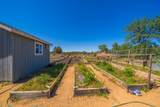 25130 Aoudad Drive - Photo 52