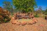 25130 Aoudad Drive - Photo 55