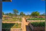 25130 Aoudad Drive - Photo 56