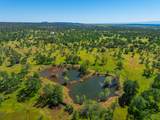 25130 Aoudad Drive - Photo 59