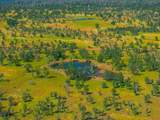 25130 Aoudad Drive - Photo 61
