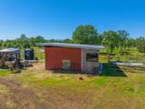 25130 Aoudad Drive - Photo 66