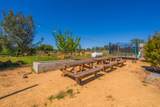 25130 Aoudad Drive - Photo 70