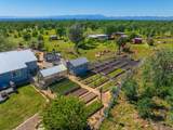 25130 Aoudad Drive - Photo 81
