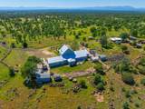 25130 Aoudad Drive - Photo 83