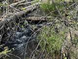 Lot 9 Princess Pine Place - Photo 9