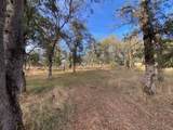  Shasta View - Photo 35