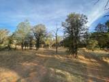  Shasta View - Photo 40
