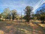 Shasta View - Photo 41