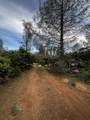 60-Acres Donkey Mine Road - Photo 2