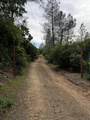 60-Acres Donkey Mine Road - Photo 3