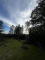 60-Acres Donkey Mine Road - Photo 5