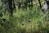 Lot 30 Tract 91-1004 Eagle Valley Ct - Photo 1
