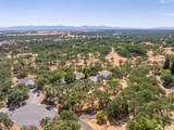 14235 Noble Oaks Drive - Photo 47
