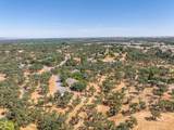 14235 Noble Oaks Drive - Photo 48