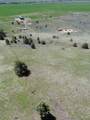 848 Co Rd 87 - Photo 10