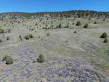 848 Co Rd 87 - Photo 2