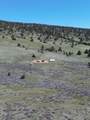 848 Co Rd 87 - Photo 4
