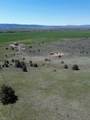 848 Co Rd 87 - Photo 9