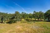 10546 Neville Way - Photo 82