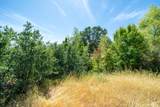 3559 Auburn Drive - Photo 52