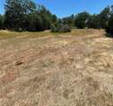 11035 Rhyolite Drive - Photo 2