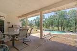 13223 Padani Drive - Photo 29