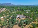 13223 Padani Drive - Photo 44