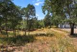 16512 Bo Lane - Photo 4