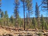 000 Roney Flat Road - Photo 20