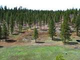 000 Roney Flat Road - Photo 4