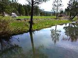 000 Roney Flat Road - Photo 6