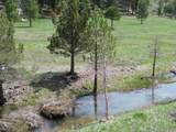 000 Roney Flat Road - Photo 8