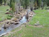 000 Roney Flat Road - Photo 9