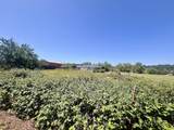 6488 Marysville Rd, Browns Valley - Photo 80