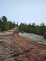 Lot 01 Woodcutters Way - Photo 12